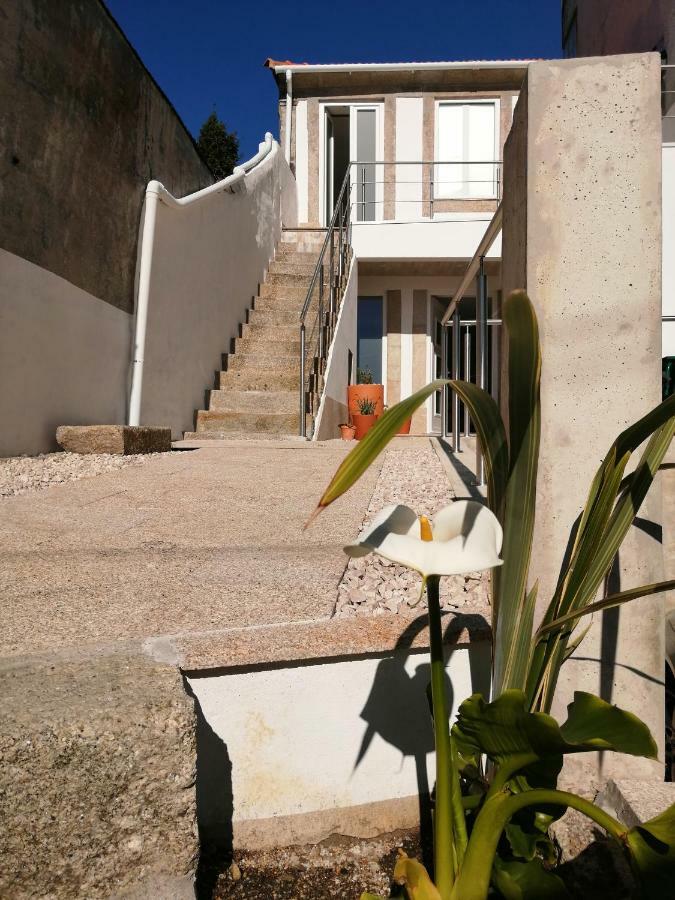 Casa Ventuzelo Apartment Porto